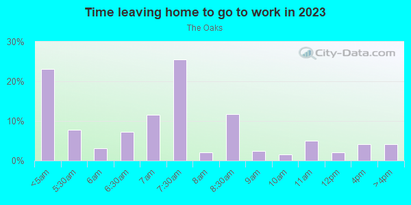 Time Leaving Home for Work in The Oaks in Spring Hill neighborhood in FL