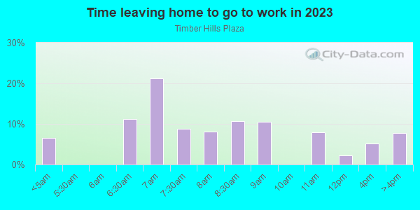 Time Leaving Home for Work in Timber Hills Plaza in Spring Hill neighborhood in FL