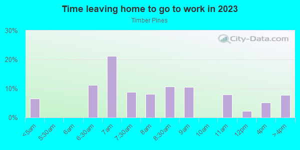 Time Leaving Home for Work in Timber Pines in Spring Hill neighborhood in FL