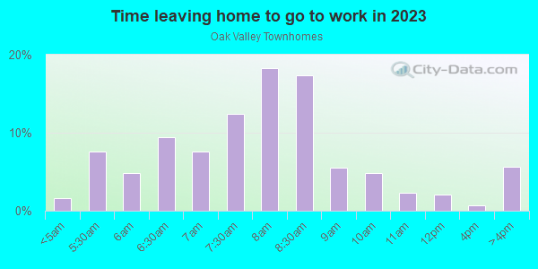 Time Leaving Home for Work in Oak Valley Townhomes in Valrico neighborhood in FL