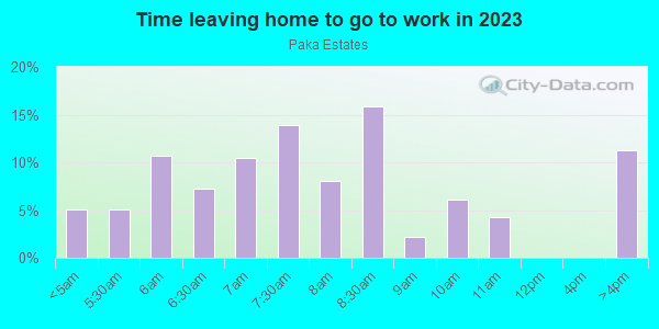 Time Leaving Home for Work in Paka Estates in Brandon neighborhood in FL