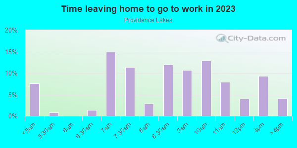 Time Leaving Home for Work in Providence Lakes in Brandon neighborhood in FL
