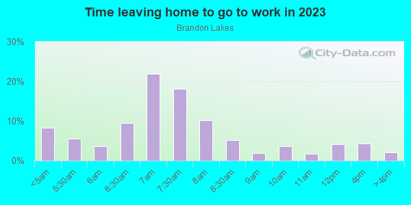Time Leaving Home for Work in Brandon Lakes in Valrico neighborhood in FL