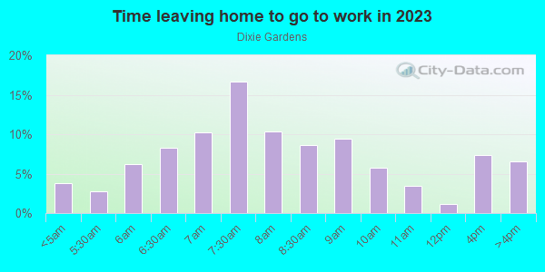 Time Leaving Home for Work in Dixie Gardens in Plant City neighborhood in FL