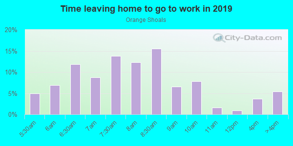 Time Leaving Home for Work in Orange Shoals in Canton neighborhood in GA