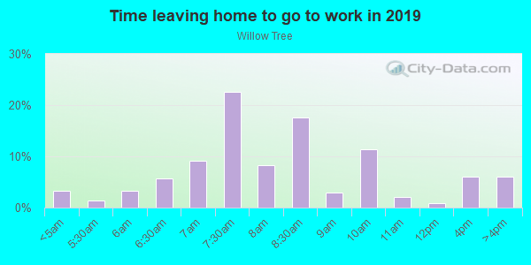 Time Leaving Home for Work in Willow Tree in Woodstock neighborhood in GA