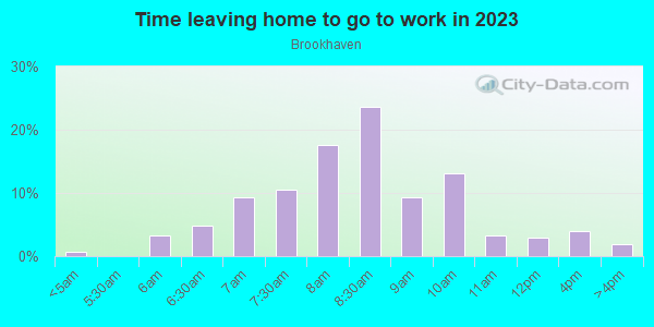 Time Leaving Home for Work in Brookhaven in Atlanta neighborhood in GA