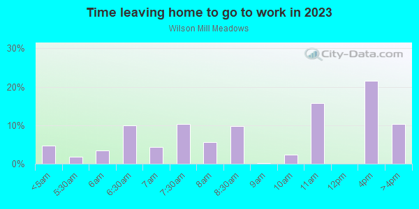 Time Leaving Home for Work in Wilson Mill Meadows in Atlanta neighborhood in GA