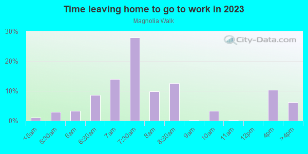 Time Leaving Home for Work in Magnolia Walk in Atlanta neighborhood in GA