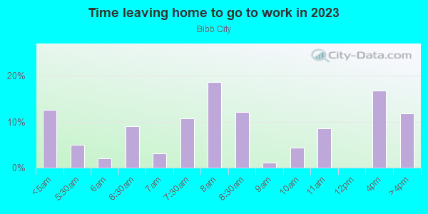 Time Leaving Home for Work in Bibb City in Columbus neighborhood in GA
