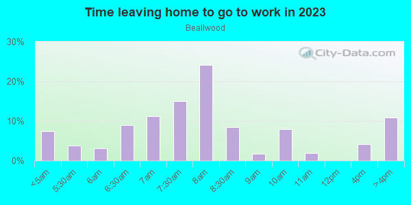 Time Leaving Home for Work in Beallwood in Columbus neighborhood in GA