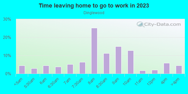 Time Leaving Home for Work in Dinglewood in Columbus neighborhood in GA