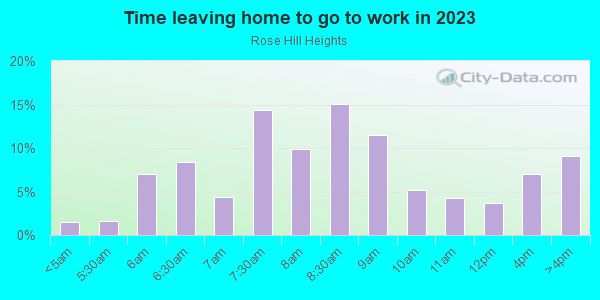 Time Leaving Home for Work in Rose Hill Heights in Columbus neighborhood in GA