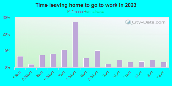 Time Leaving Home for Work in Kaūmana Homesteads in Hilo neighborhood in HI
