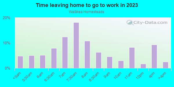 Time Leaving Home for Work in Waiākea Homesteads in Hilo neighborhood in HI