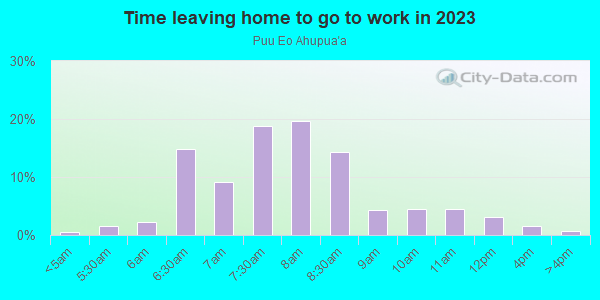 Time Leaving Home for Work in Puu Eo Ahupua`a in Hilo neighborhood in HI