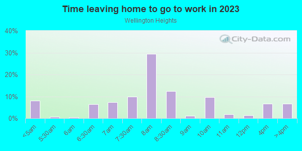 Time Leaving Home for Work in Wellington Heights in Cedar Rapids neighborhood in IA