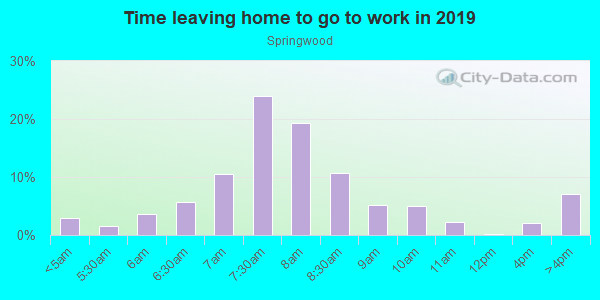 Time Leaving Home for Work in Springwood in Ankeny neighborhood in IA