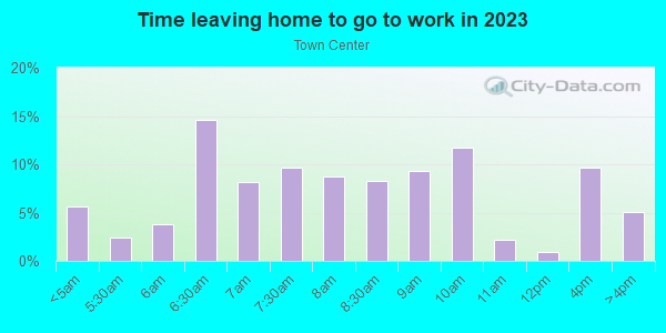 Time Leaving Home for Work in Town Center in Woodridge neighborhood in IL