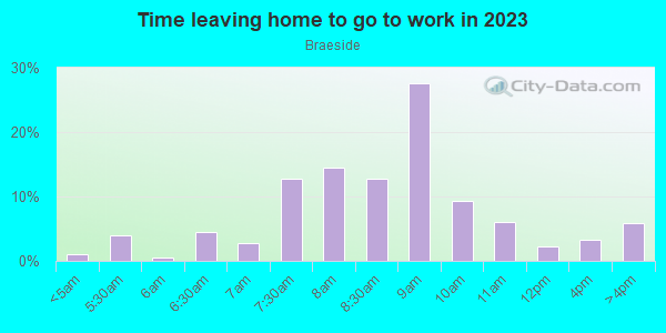 Time Leaving Home for Work in Braeside in Highland Park neighborhood in IL