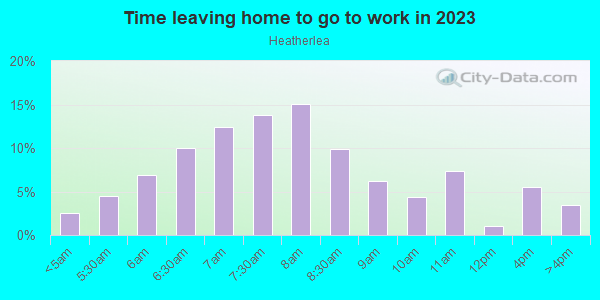 Time Leaving Home for Work in Heatherlea in Palatine neighborhood in IL