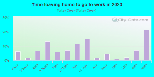 Time Leaving Home for Work in Turkey Creek in Merrillville neighborhood in IN