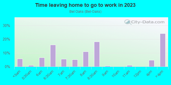 Time Leaving Home for Work in Bel Oaks in Merrillville neighborhood in IN