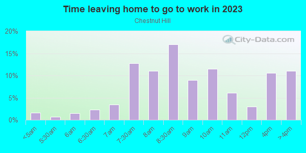 Time Leaving Home for Work in Chestnut Hill in Chestnut Hill neighborhood in MA