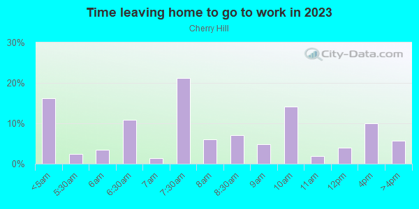 Time Leaving Home for Work in Cherry Hill in Brooklyn neighborhood in MD