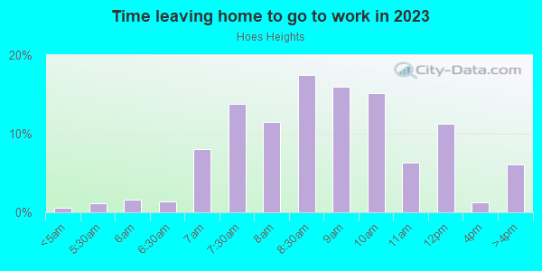 Time Leaving Home for Work in Hoes Heights in Baltimore neighborhood in MD