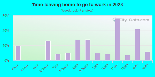 Time Leaving Home for Work in Woodbrook in Baltimore neighborhood in MD