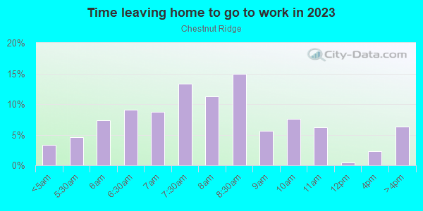 Time Leaving Home for Work in Chestnut Ridge in Silver Spring neighborhood in MD