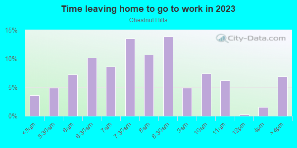 Time Leaving Home for Work in Chestnut Hills in Silver Spring neighborhood in MD