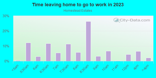 Time Leaving Home for Work in Homestead Estates in Silver Spring neighborhood in MD