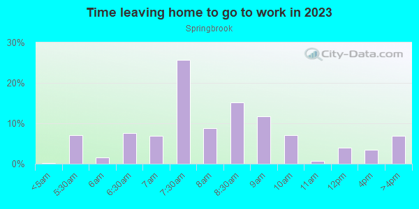 Time Leaving Home for Work in Springbrook in Silver Spring neighborhood in MD