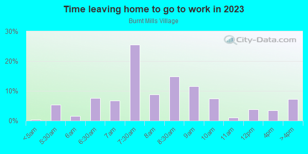 Time Leaving Home for Work in Burnt Mills Village in Silver Spring neighborhood in MD