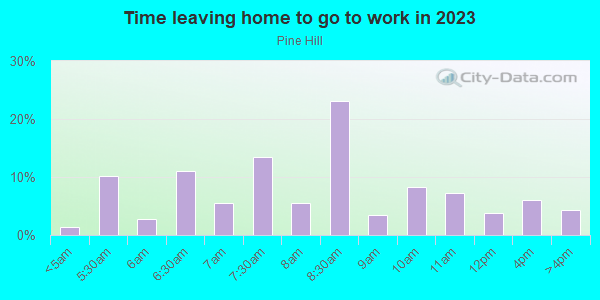 Time Leaving Home for Work in Pine Hill in Silver Spring neighborhood in MD