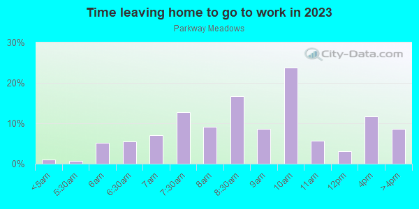 Time Leaving Home for Work in Parkway Meadows in Ann Arbor neighborhood in MI