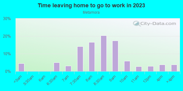 Time Leaving Home for Work in Metamora in Franklin neighborhood in MI