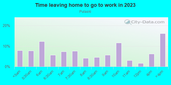 Time Leaving Home for Work in Pulaski in Detroit neighborhood in MI