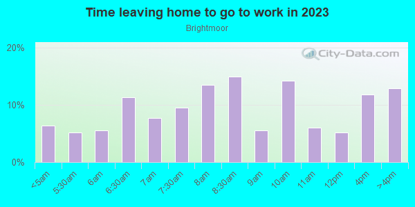 Time Leaving Home for Work in Brightmoor in Detroit neighborhood in MI