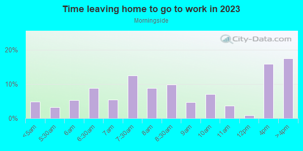Time Leaving Home for Work in Morningside in Detroit neighborhood in MI