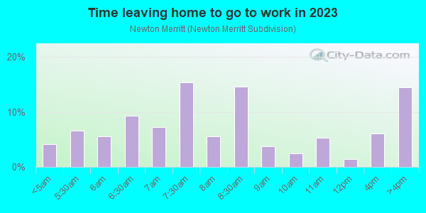 Time Leaving Home for Work in Newton Merritt in Lincoln Park neighborhood in MI