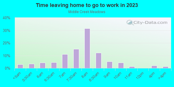Time Leaving Home for Work in Middle Creek Meadows in Bozeman neighborhood in MT