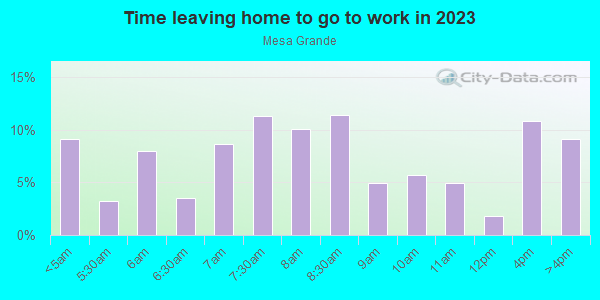 Time Leaving Home for Work in Mesa Grande in Mesa neighborhood in AZ