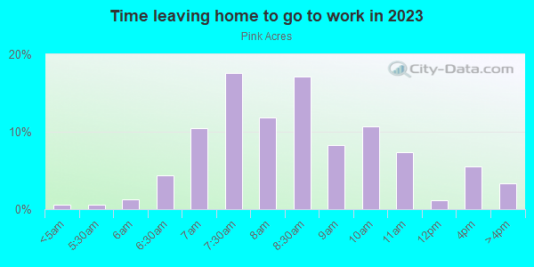 Time Leaving Home for Work in Pink Acres in Cary neighborhood in NC
