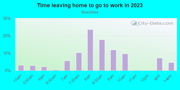 Time Leaving Home for Work in Beechtree in Cary neighborhood in NC