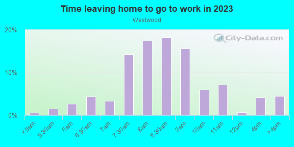 Time Leaving Home for Work in Westwood in Greensboro neighborhood in NC