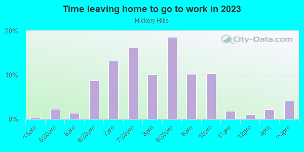 Time Leaving Home for Work in Hickory Hills in Raleigh neighborhood in NC