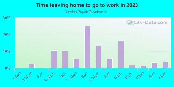 Time Leaving Home for Work in Newton Parish Townhomes in Raleigh neighborhood in NC